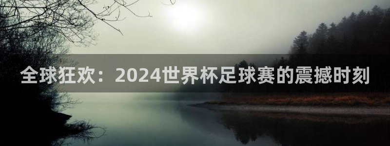 欧洲区世界杯预选赛：全球狂欢：2024世界杯足球赛的震撼时刻