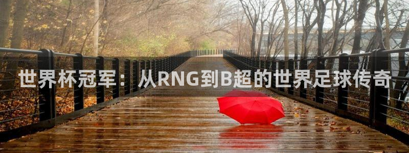 世界杯预选赛亚洲：世界杯冠军：从RNG到B超的世界足球传奇