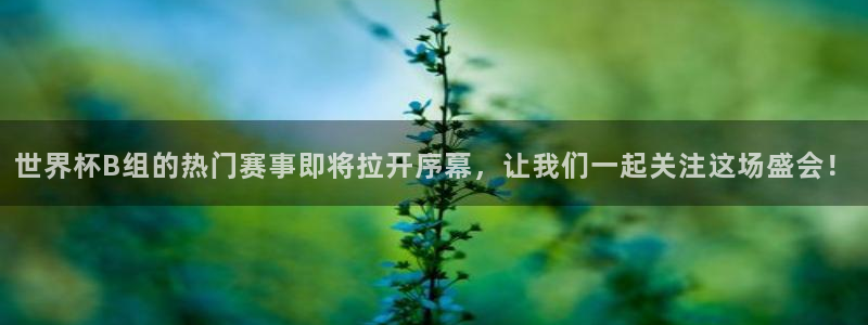 西超杯直播：世界杯B组的热门赛事即将拉开序幕，让我们一起关注这场盛会！