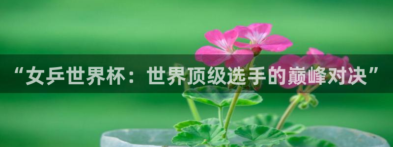 世界杯直播时间：“女乒世界杯：世界顶级选手的巅峰对决”