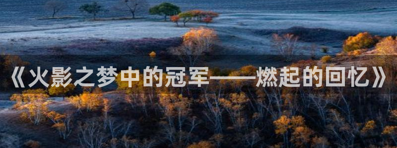世界杯预选赛亚洲区赛程：《火影之梦中的冠军——燃起的回忆》