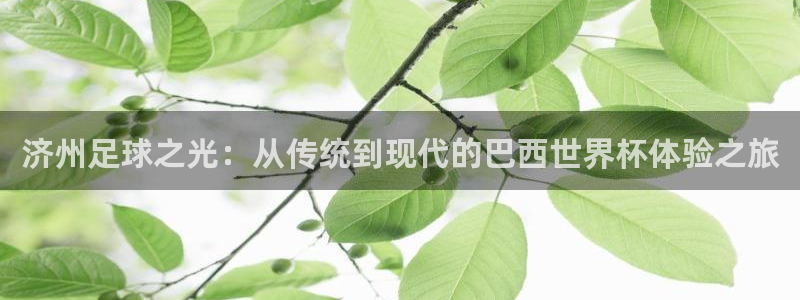 2026世界杯中国队：济州足球之光：从传统到现代的巴西世界杯体验之旅