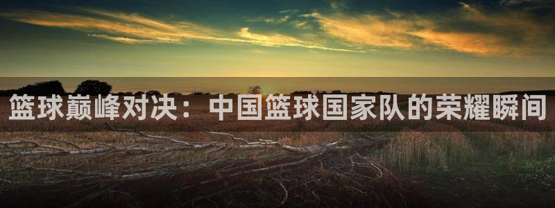2006年世界杯：篮球巅峰对决：中国篮球国家队的荣耀瞬间