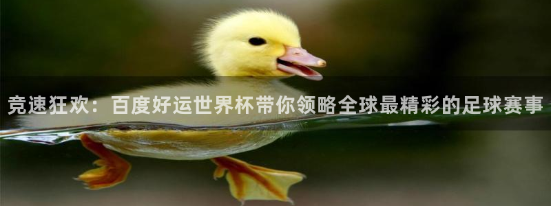 足球世预赛：竞速狂欢：百度好运世界杯带你领略全球最精彩的足球赛事